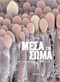 ΜΕΣΑ ΣΤΟ ΣΩΜΑ