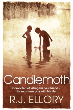 Candlemoth