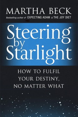 Steering By Starlight