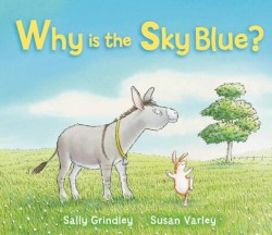 WHY IS THE SKY BLUE PB
