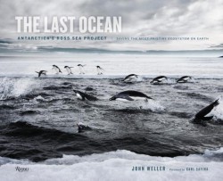 THE LAST OCEAN HB