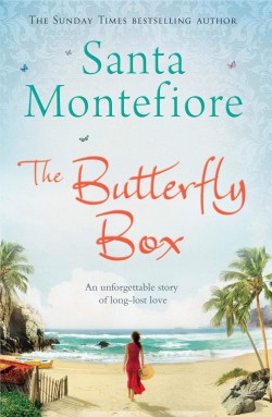 THE BUTTERFLY BOX