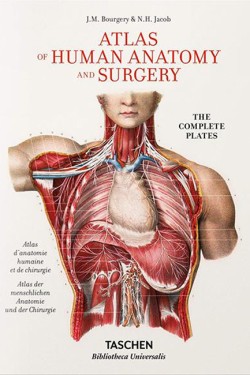 ATLAS OF HUMAN ANATOMY