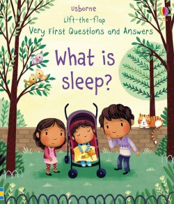 LIFT THE FLAP VERY FIRST QUESTIONS AND ANSWERS WHAT IS SLEEP