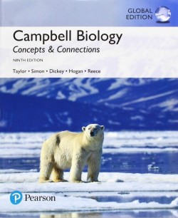 CAMBELL BIOLOGY CONCEPTS AND CONNECTIONS INTERNATIONAL EDITION