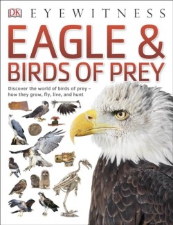 EAGLES & BIRDS OF PREY