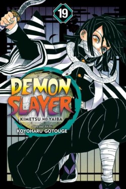 Demon Slayer: Kimetsu no Yaiba, Vol. 19