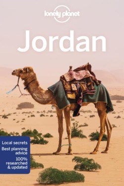JORDAN-11TH EDITION PB