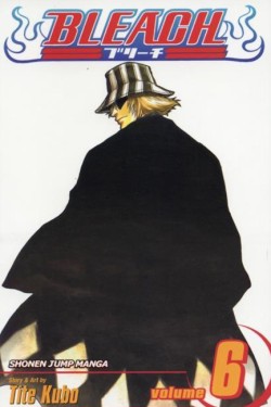 Bleach, Vol. 6