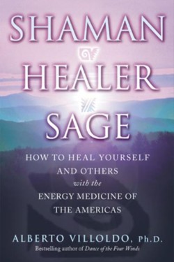 Shaman, Healer, Sage