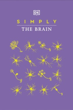 Simply The Brain