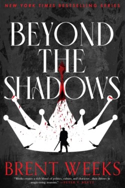 Beyond The Shadows