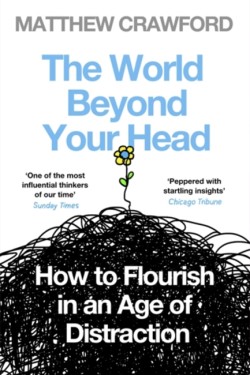 The World Beyond Your Head