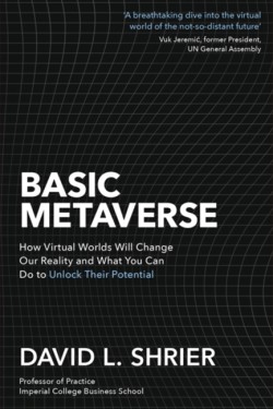 Basic Metaverse