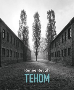 Tehom (Abyss)