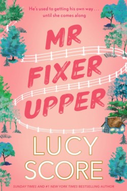 Mr Fixer Upper