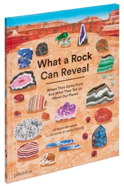 What a Rock Can Reveal