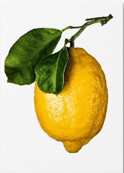 The Gourmand’s Lemon