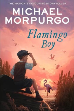 Flamingo Boy