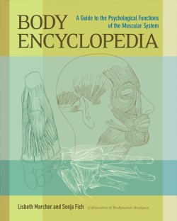 Body Encyclopedia
