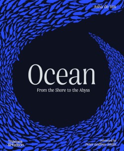 Ocean