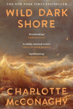 Wild Dark Shore