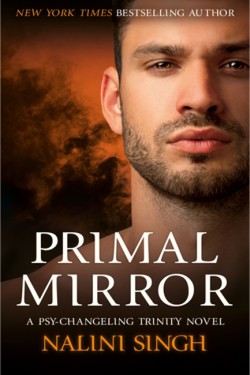 Primal Mirror