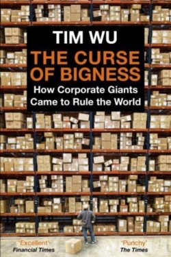 The Curse of Bigness