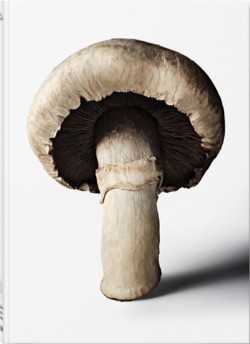 The Gourmands Mushroom