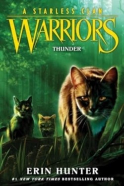 Warriors: A Starless Clan #4: Thunder