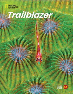TRAILBLAZER 4 ( + SPARK) COMBO SPLIT A