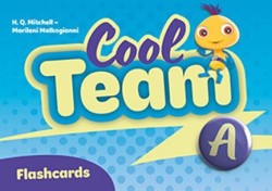 COOL TEAM A FLASHCARDS