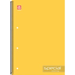 ΤΕΤΡΑΔΙΟ ΣΠΙΡΑΛ 20*30 3ΘΕΜ.ΠΕΡΦΟΡΕ ΜΕ ΟΠΕΣ SPECIAL MEETING