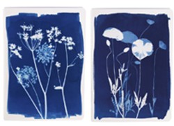 ΤΕΤΡΑΔΙΟ FANCY Α5 ΡΙΓΕ 32Φ.ΚΑΡΦΙΤΣΑ CLAIRE FONTAINE CYANOTYPE