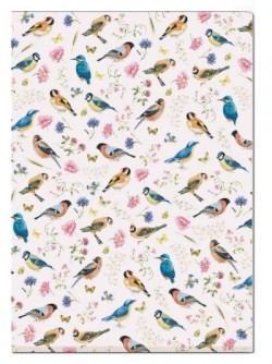 ΘΗΚΗ Α4 ΜΕ ΑΝΟΙΓΜΑ Γ BB BRINKMAN-VOGELS/BIRDS COLLAGE