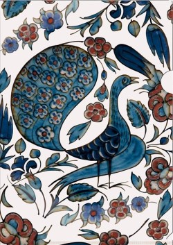 ΘΗΚΗ Α4 ΜΕ ΑΝΟΙΓΜΑ Γ BB SENF-PEACOCK
