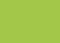 ΚΑΡΤΑ ΑΛΛΗΛ/ΦΙΑΣ POLLEN 110*155 25ΤΕΜ.INTENSIVE GREEN
