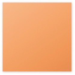 ΚΑΡΤΑ ΑΛΛΗΛ/ΦΙΑΣ POLLEN 160*160 25ΤΕΜ.ORANGE