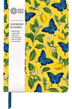 ΣΗΜΕΙΩΜΑΤΑΡΙΟ MUSEUMS & GALLERIES 15,4*21,7cm.ΡΙΓΕ HARD NATURAL HISTORY MUSEUM-ULYSSES BUTTERFLY