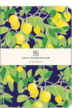ΣΗΜΕΙΩΜΑΤΑΡΙΟ MUSEUMS & GALLERIES 15*21cm.ΡΙΓΕ LEMON GROVE