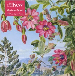 PUZZLE 500 ΤΕΜ.FLAME TREE NORTH-VIEW IN THE BRISBANE BOTANIC GARDEN
