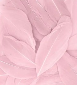 ΦΤΕΡΑ 3γρ.~6cm.BABY PINK