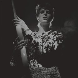 DAVID BOWIE - ROCK N ROLL STAR (LTD LP)