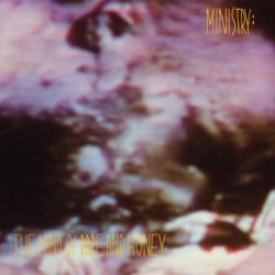 MINISTRY - THE LAND OF RAPE AND HONEY (2 LP)