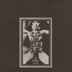 FELT - THE SPLENDOUR OF FEAR - VINYL EDITION