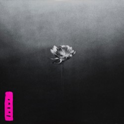 LITTLE SIMZ - LOTUS (2 LP)