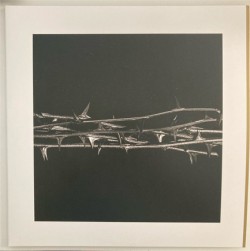 AMENRA - DE DOORN (2 LP)