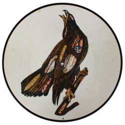 CLUTCH - BOOK OF BAD DECISIONS (PICTURE DISC) (2 LP)
