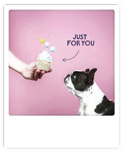 ΚΑΡΤΑ PICKMOTION ΜΟΝΗ JUST FOR YOU CUPCAKE DOG