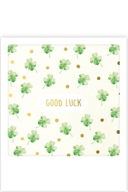 ΚΑΡΤΑΚΙ PICKMOTION ΜΟΝΟ GOOD LUCK